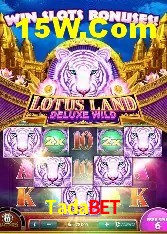 Apostas de Basquete Tadabet